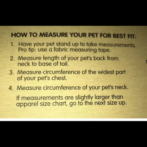 Disney Haunted Mansion Hatbox Ghost Pet Costume & Toy-Disney Tails Halloween NEW - Picture 8 of 10